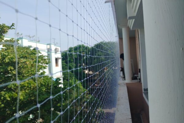 siri bird netting installation near me siri bird netting installation near me