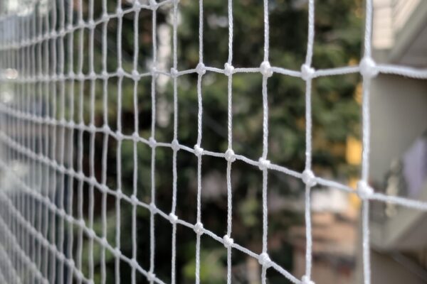 IMG-20250125-WA0005 IMG-20250125-WA0005