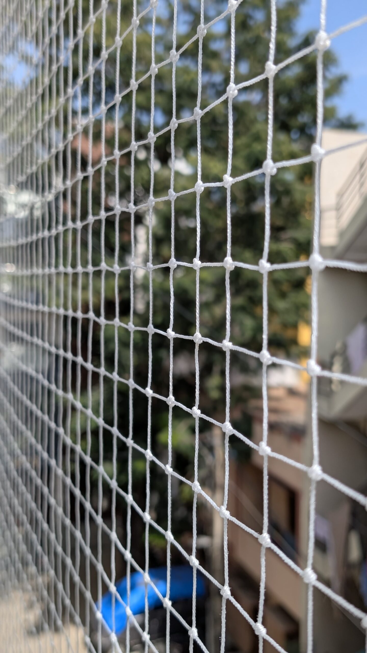 Anti Bird Netting in Chennai